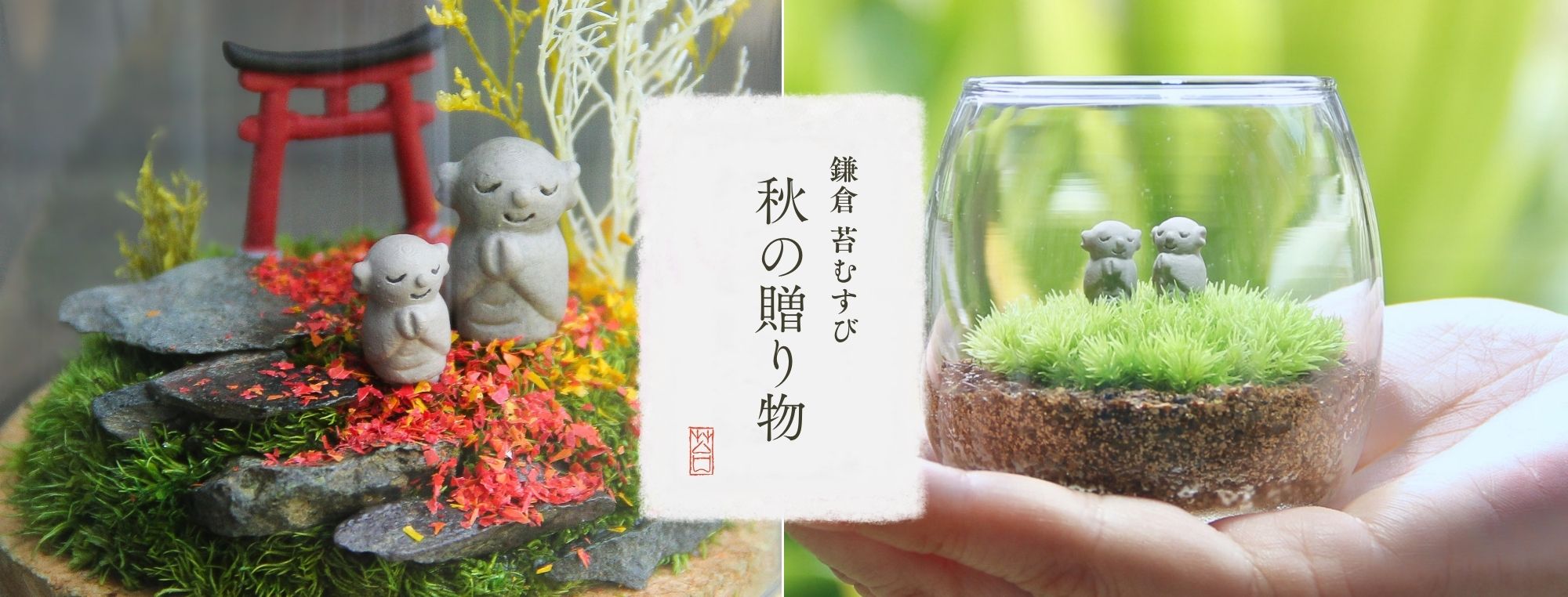 秋の贈り物 – 苔むすび