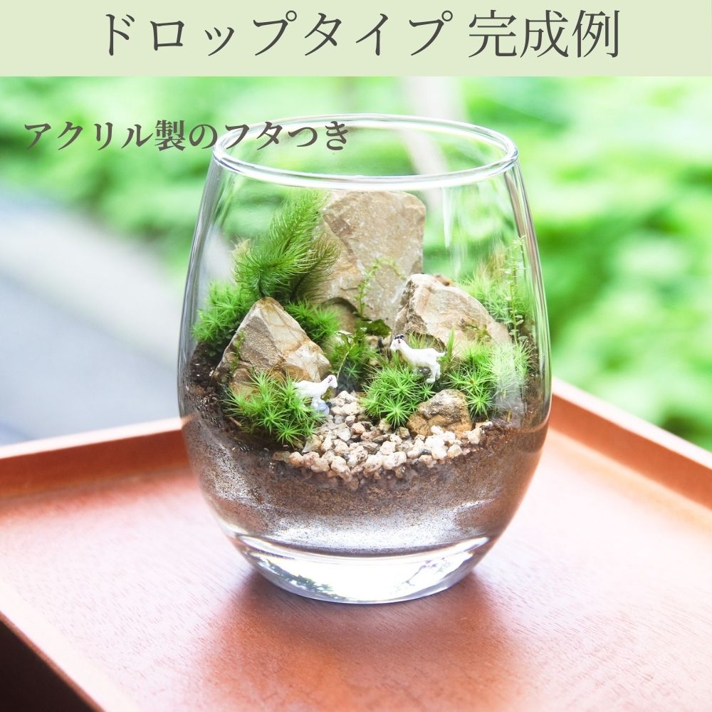 【容器が選べる】苔テラリウム スターターキット|初心者向け 【苔3種パック付き】