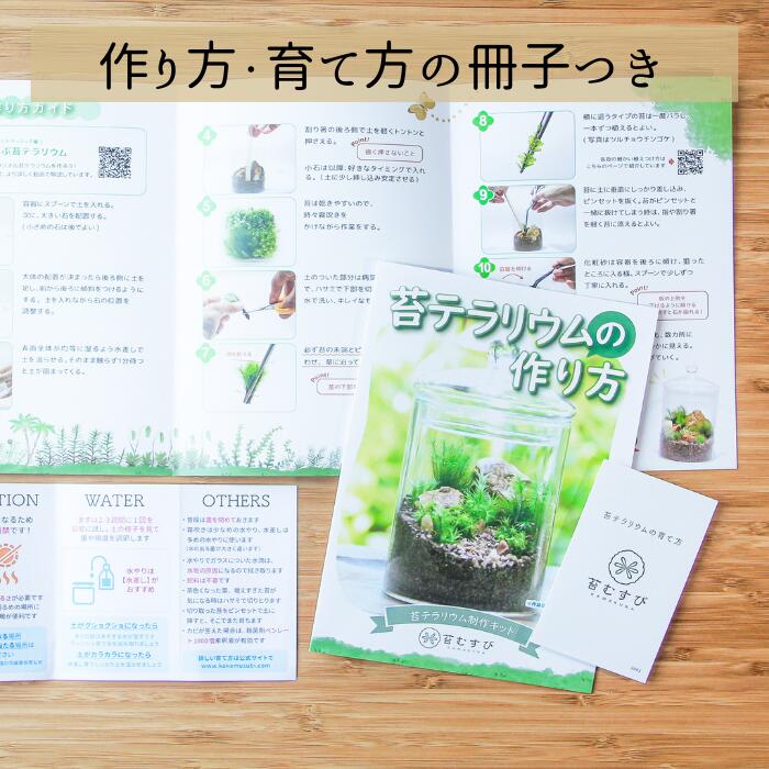 【ボウル2L type】苔テラリウム制作キット《苔パック5種》