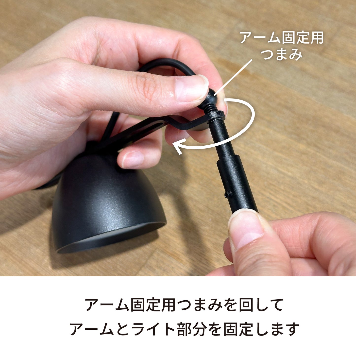 【調光機能付】 苔テラリウム用ライト テライト(ブラック)