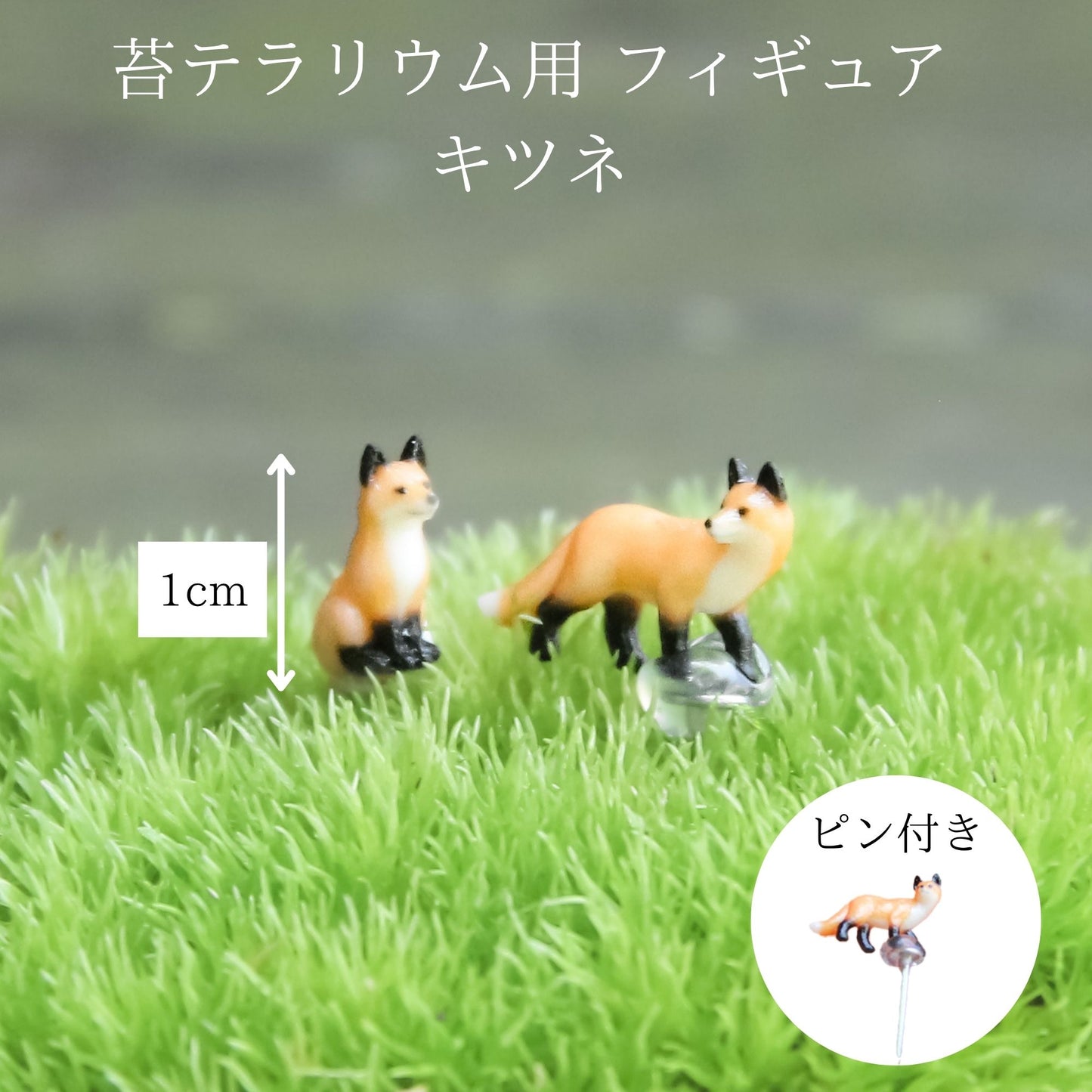 キツネ2匹_おちょこけ《苔テラリウム・コケリウム》