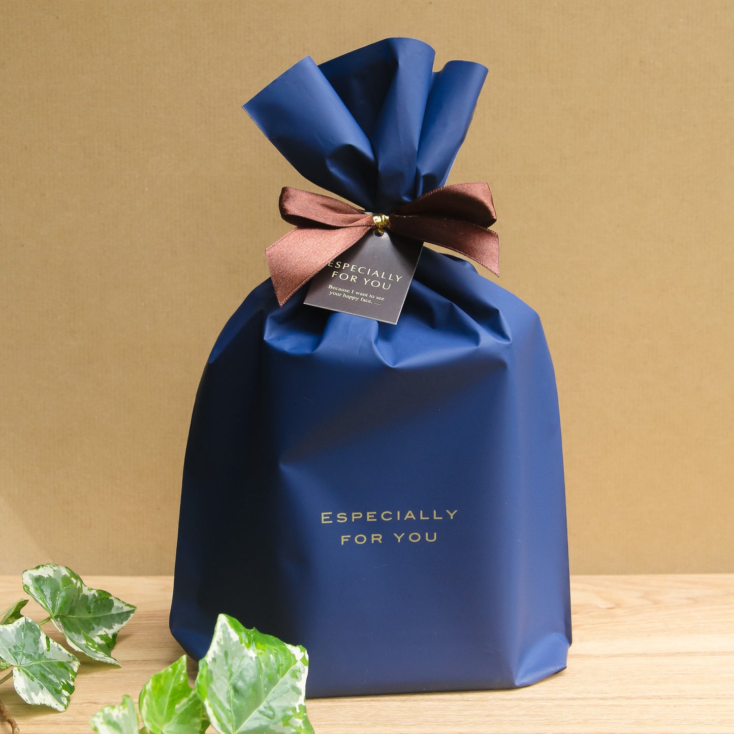 ブラウンロックS(15-30mm・80g)《苔テラリウム・コケリウム用》