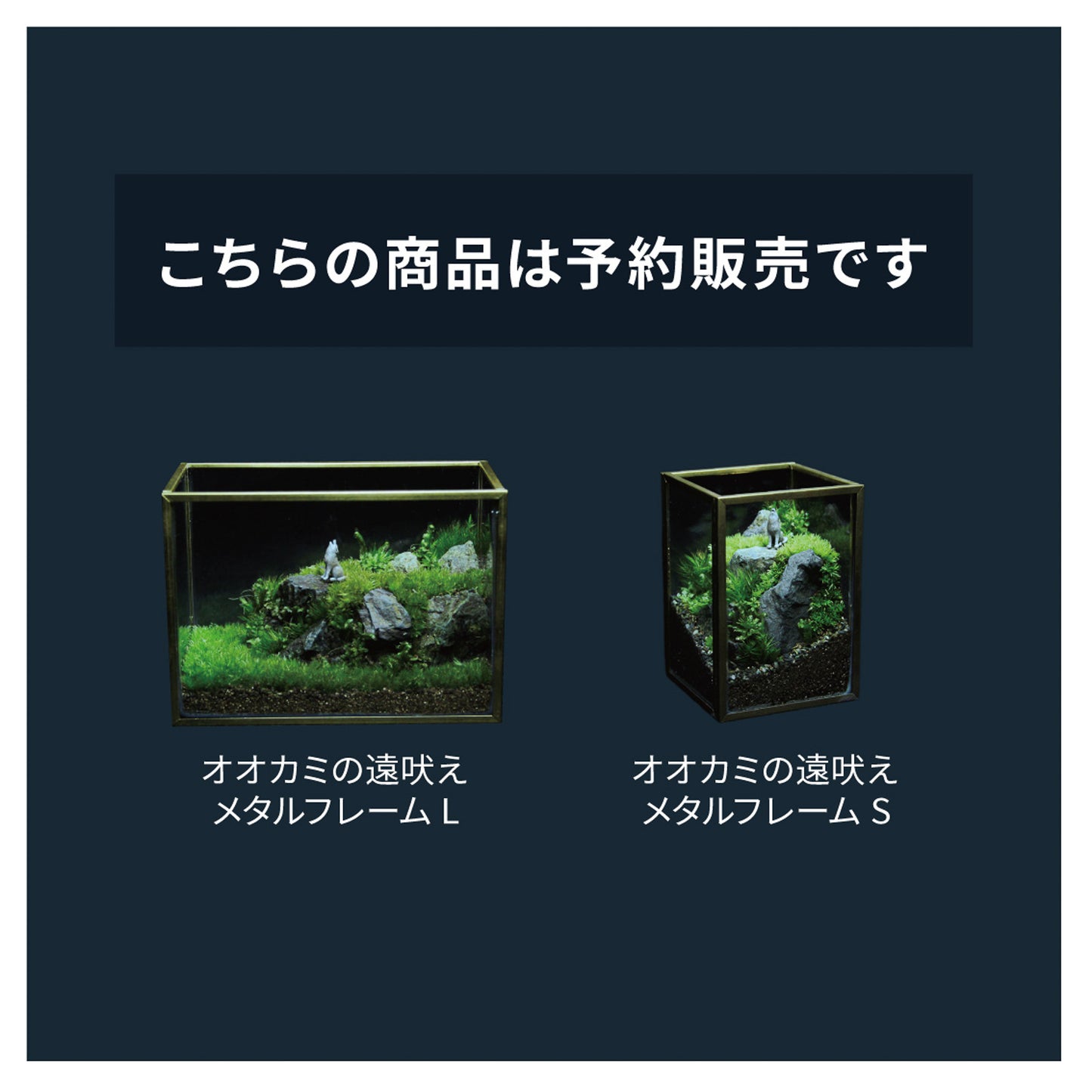 オオカミの遠吠え メタルフレームL《苔テラリウム・コケリウム》