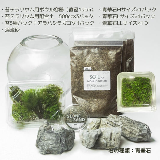 \送料無料/石が選べる【直径19㎝ 大型ボウル容器 苔テラリウム制作キット】《苔5種パック+苔1種》