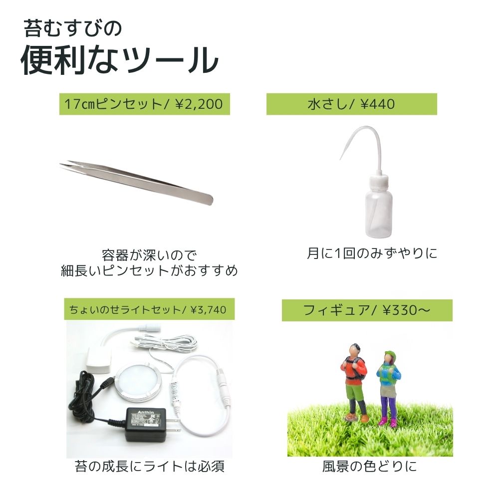 \送料無料/石が選べる【直径19㎝ 大型ボウル容器 苔テラリウム制作キット】《苔5種パック+苔1種》