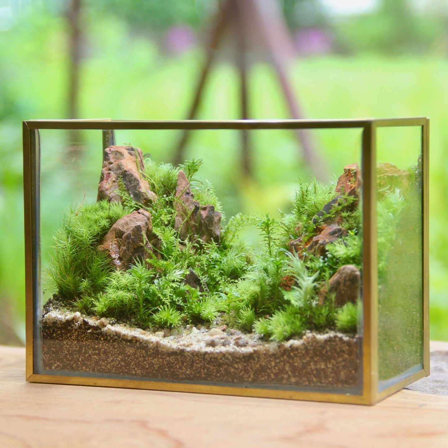 フィギュアなし_山岳の風景 メタルフレーム L《苔テラリウム・コケリウム》☆父の日ギフトおすすめ