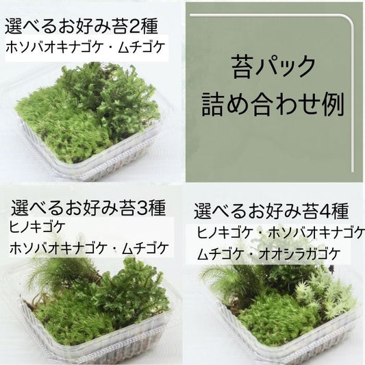 苔パック2種盛・3種盛・4種盛
