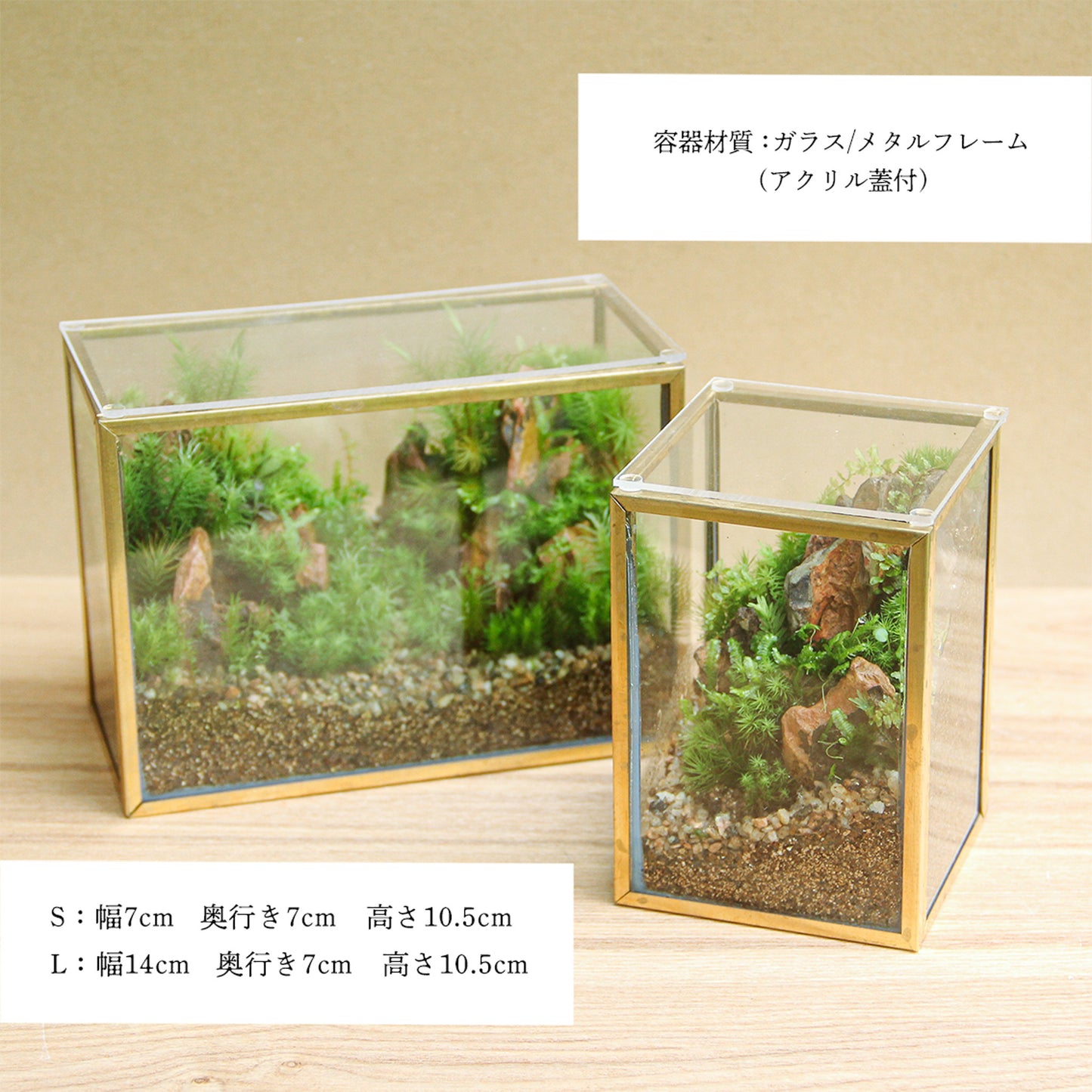 牡鹿_山岳の風景 メタルフレームL《苔テラリウム・コケリウム》