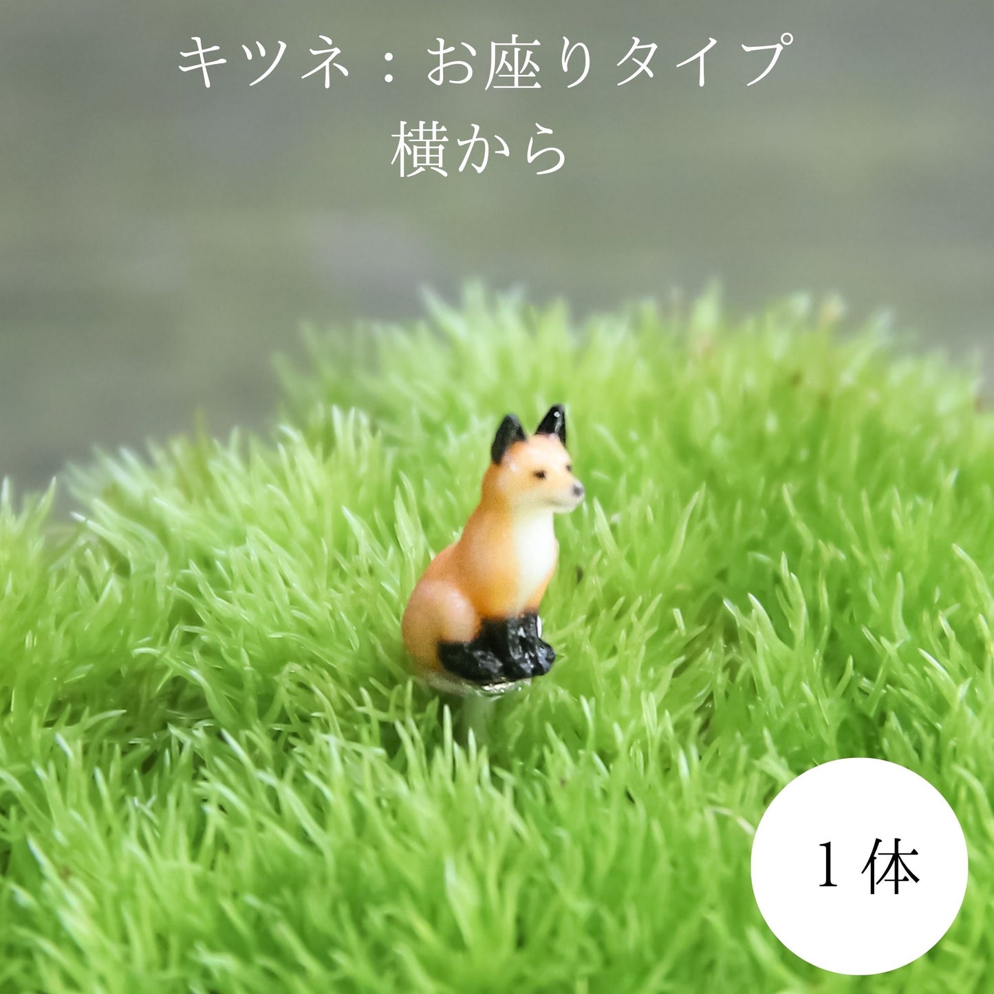 キツネ_山岳の風景 メタルフレームS《苔テラリウム・コケリウム》