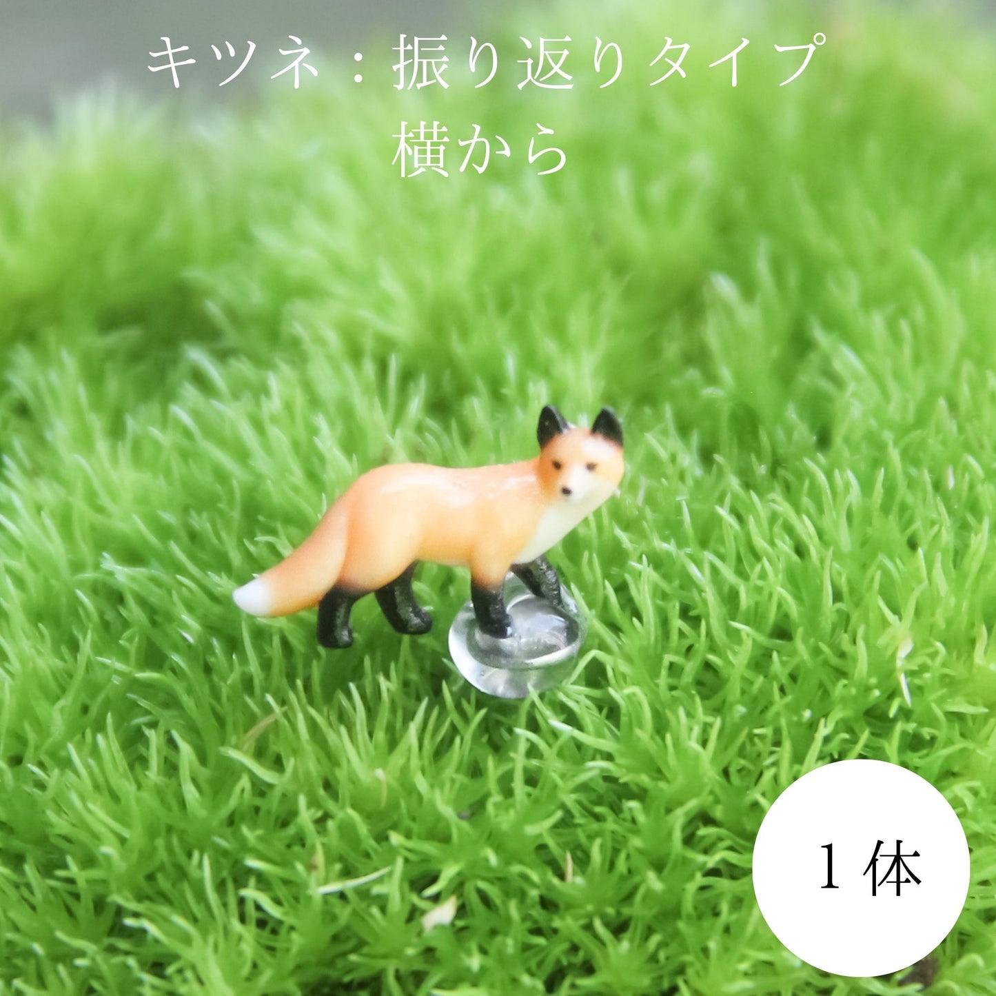 キツネ_山岳の風景 メタルフレームS《苔テラリウム・コケリウム》