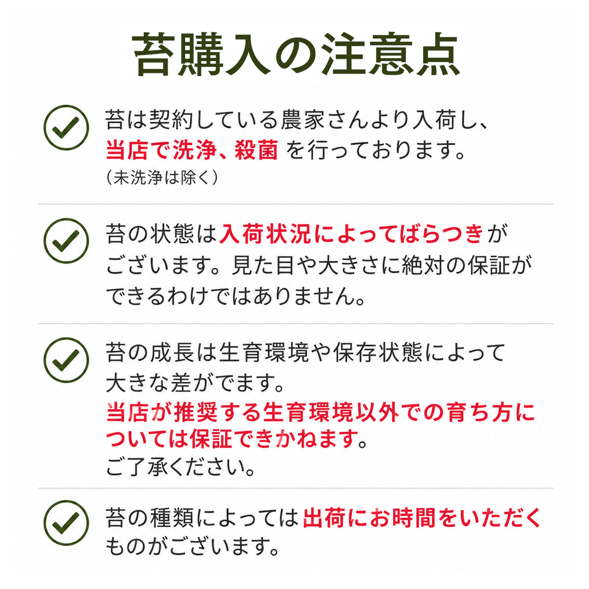 ツヤゴケ《苔テラリウム・コケリウム用生苔》
