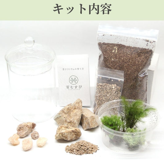 【容器が選べる】苔テラリウム スターターキット|初心者向け 【苔3種パック付き】