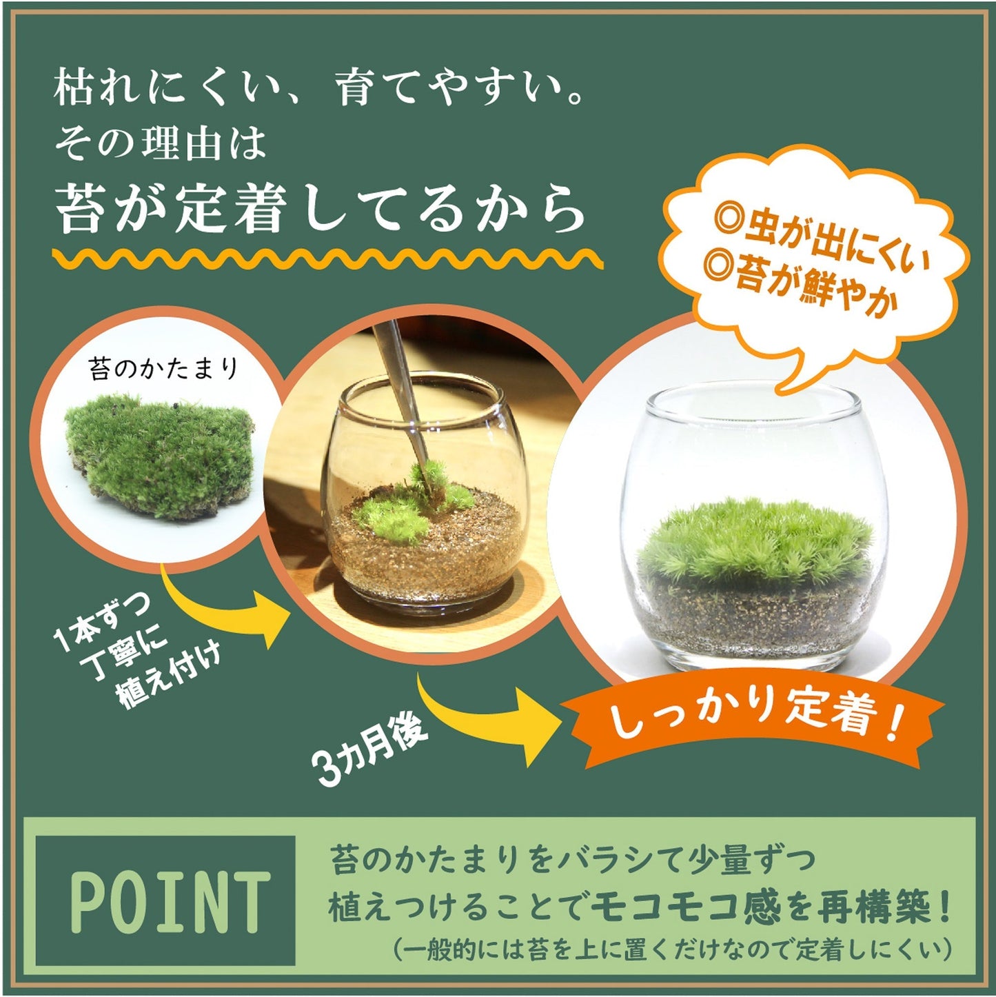 フィギュアなし_枯山水(道なし) ボウルM《苔テラリウム・コケリウム》