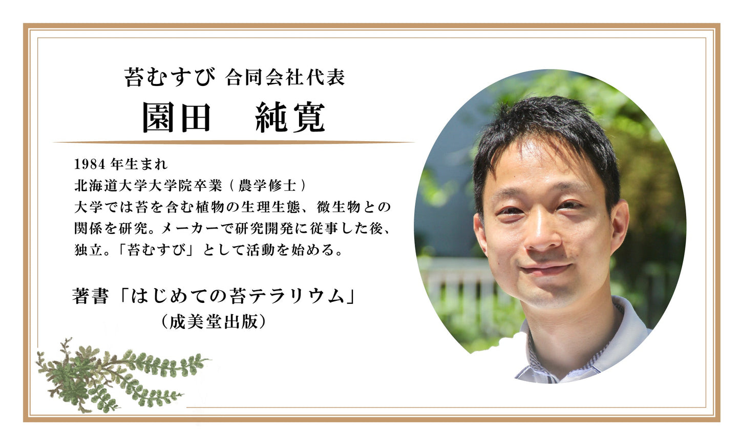 選べるフィギュア_階段の風景 ボウルLL《苔テラリウム・コケリウム》