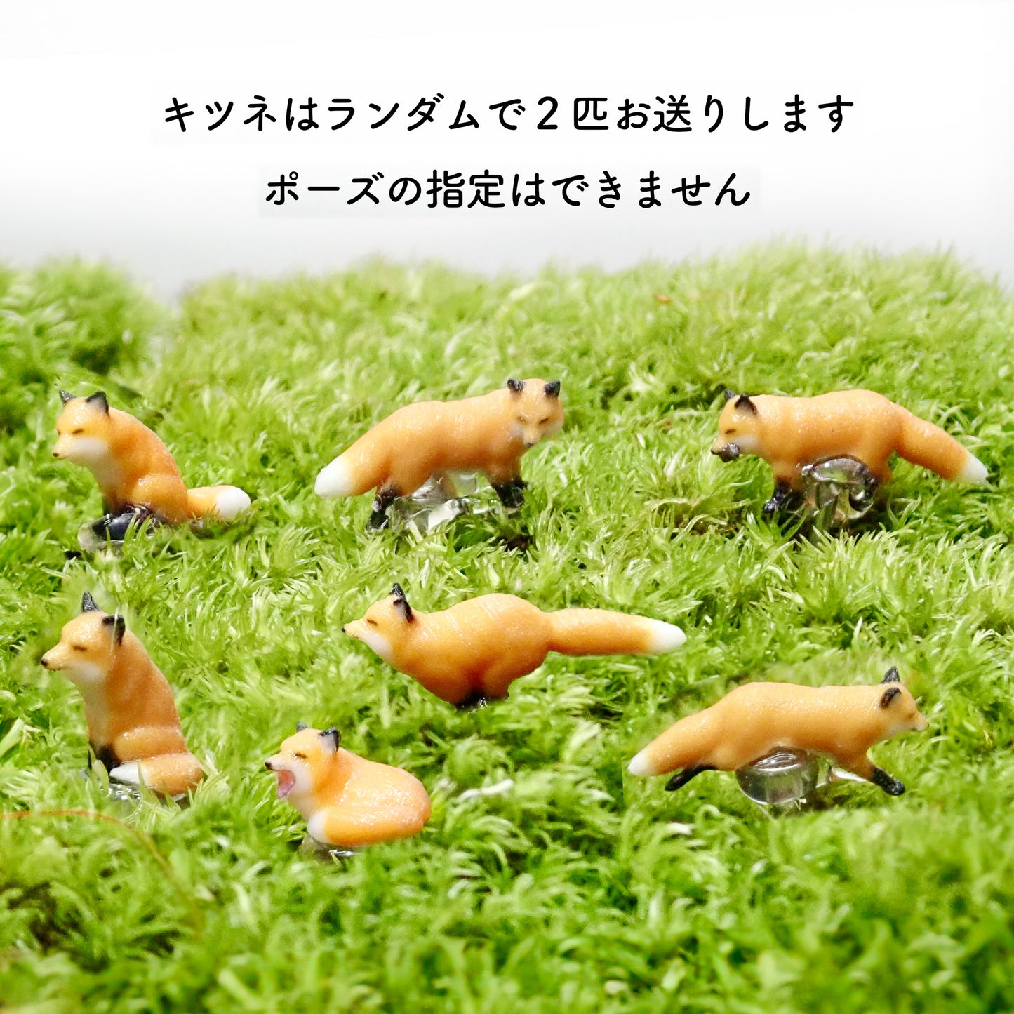 キツネ2匹_おちょこけ《苔テラリウム・コケリウム》