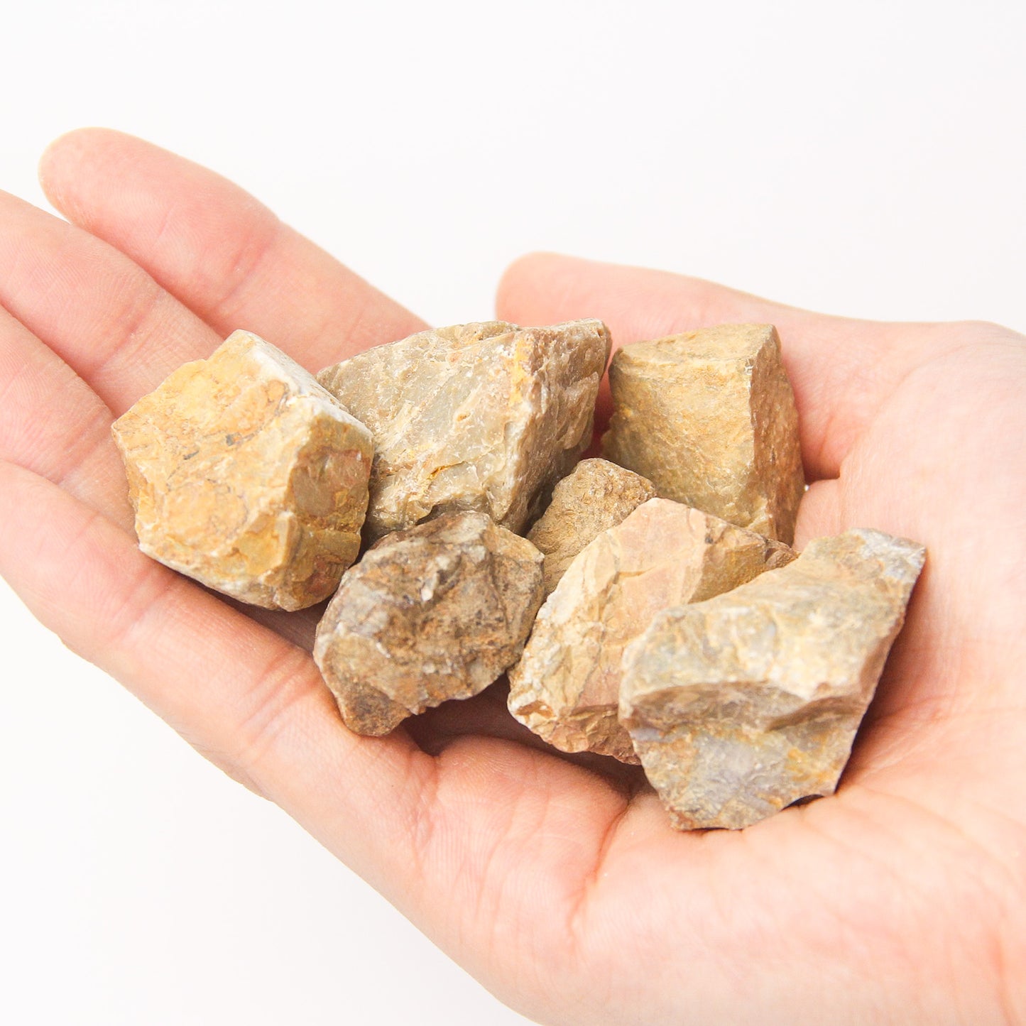 錆石M(20-30mm)《苔テラリウム・コケリウム用》