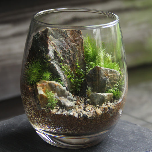 山岳の風景_ドロップL《苔テラリウム・コケリウム》