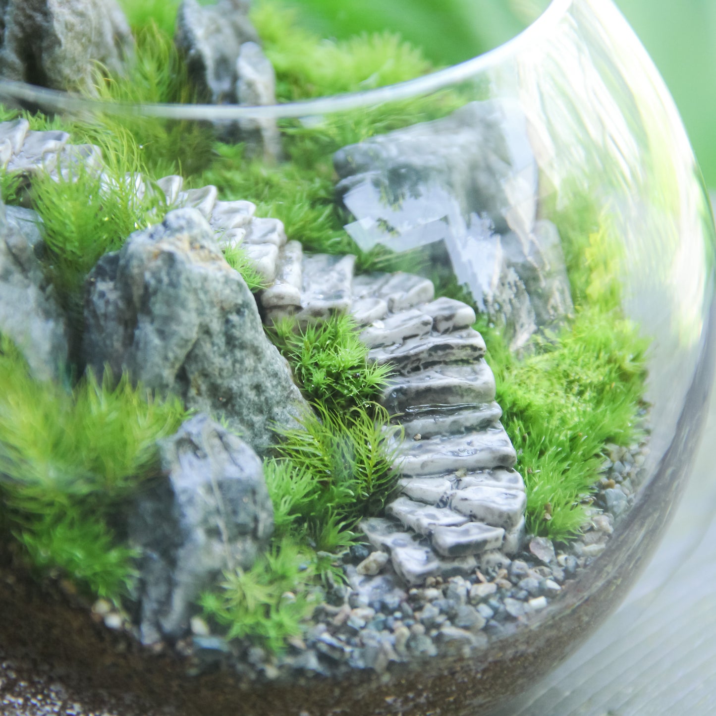 \階段フィギュアが4個/【階段の風景】苔テラリウム制作キット