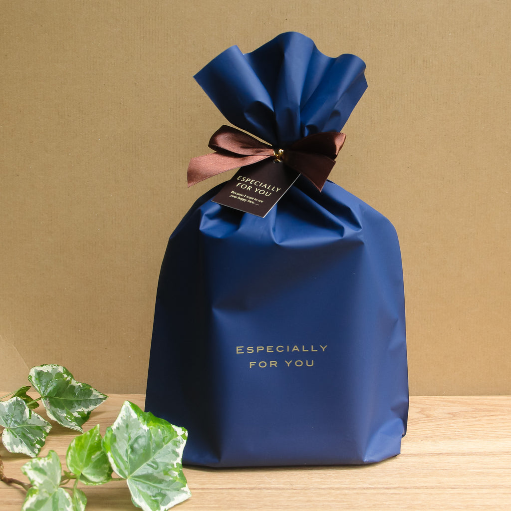 選べるフィギュア_階段の風景 ボウルLL《苔テラリウム・コケリウム》