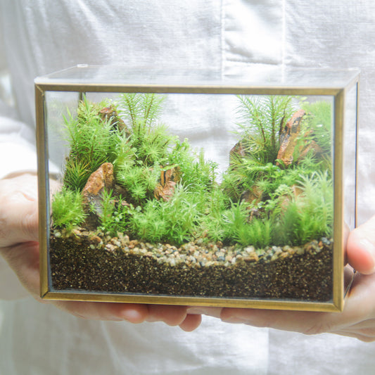 フィギュアなし_山岳の風景 メタルフレームL《苔テラリウム・コケリウム》