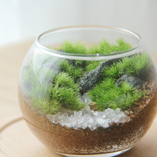 フィギュアなし_渓流の風景 ボウルM《苔テラリウム・コケリウム》