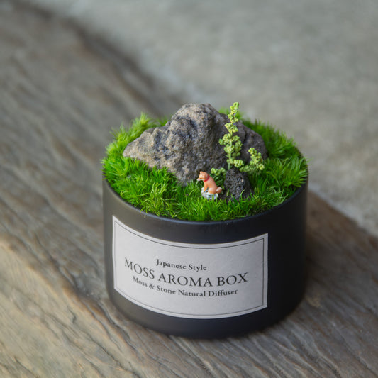 苔香箱 Moss Aroma Box|苔と溶岩石のアロマディフューザー