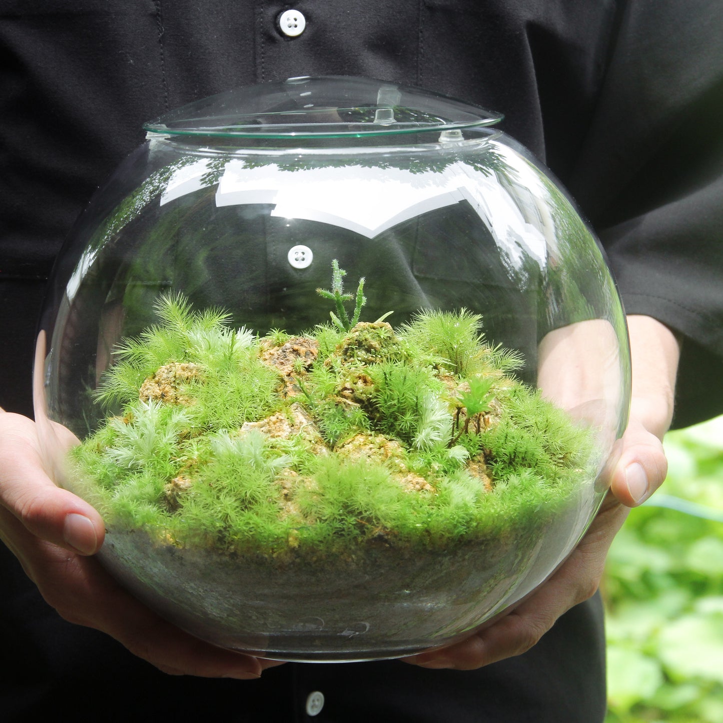 鎌倉苔むすびプレミアム作品-typeA