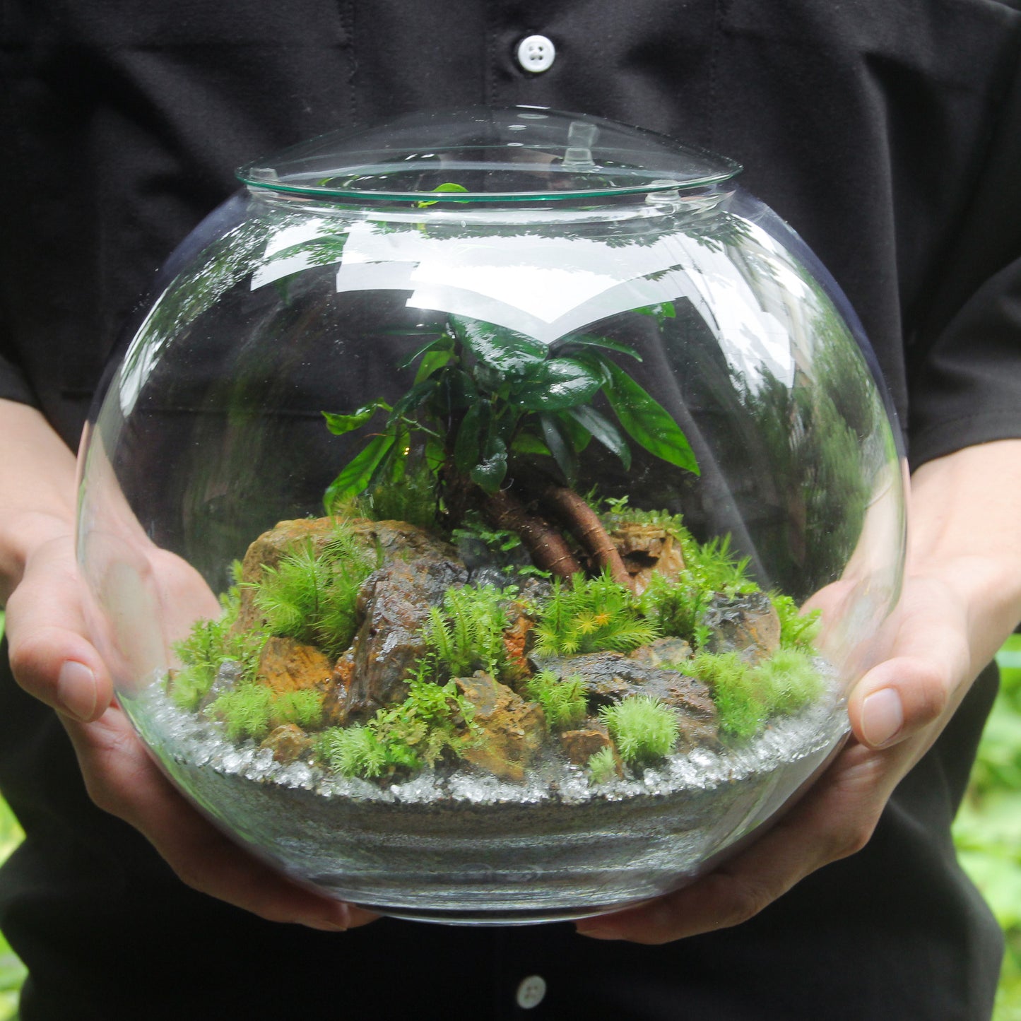 鎌倉苔むすびプレミアム作品-typec