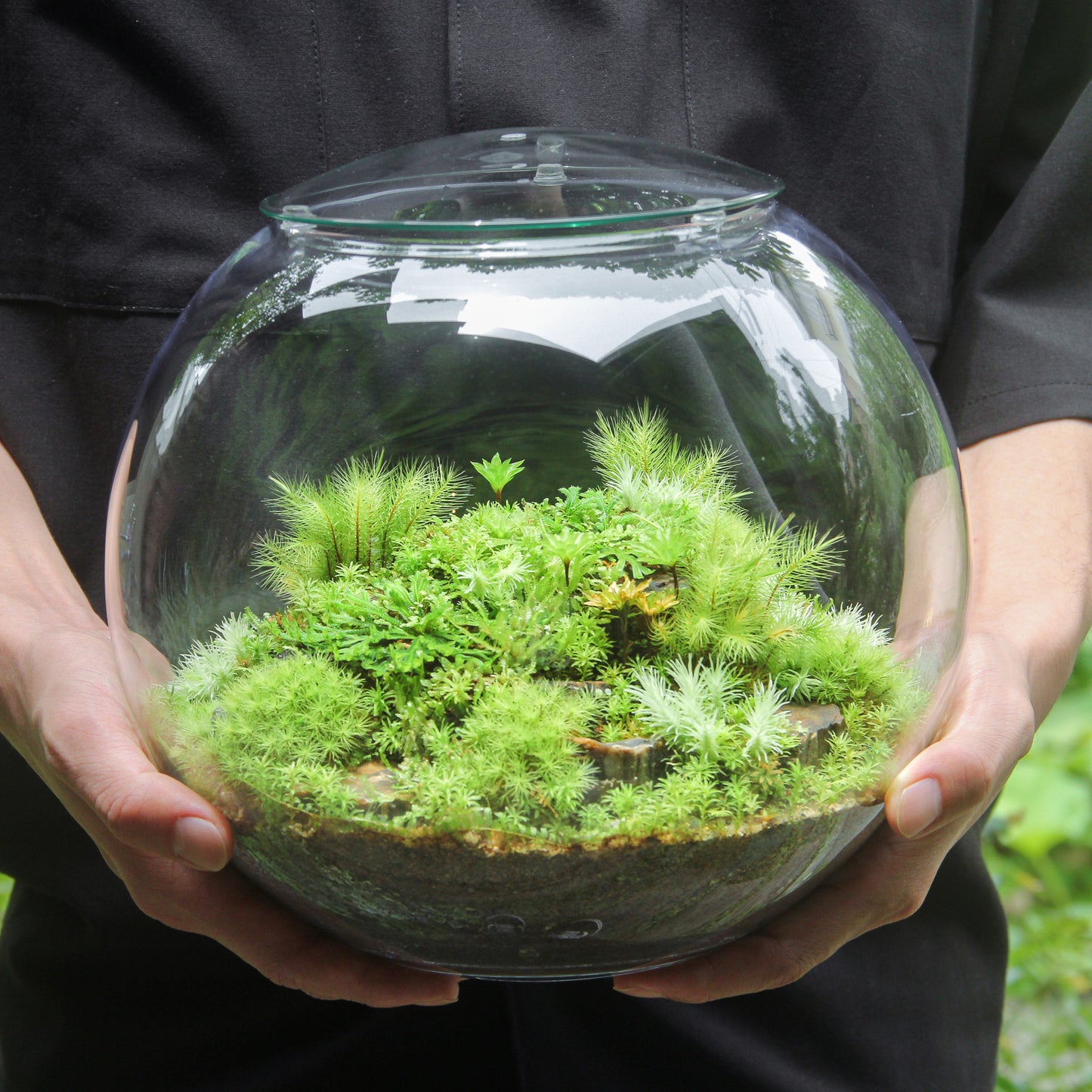 鎌倉苔むすびプレミアム作品-typeB