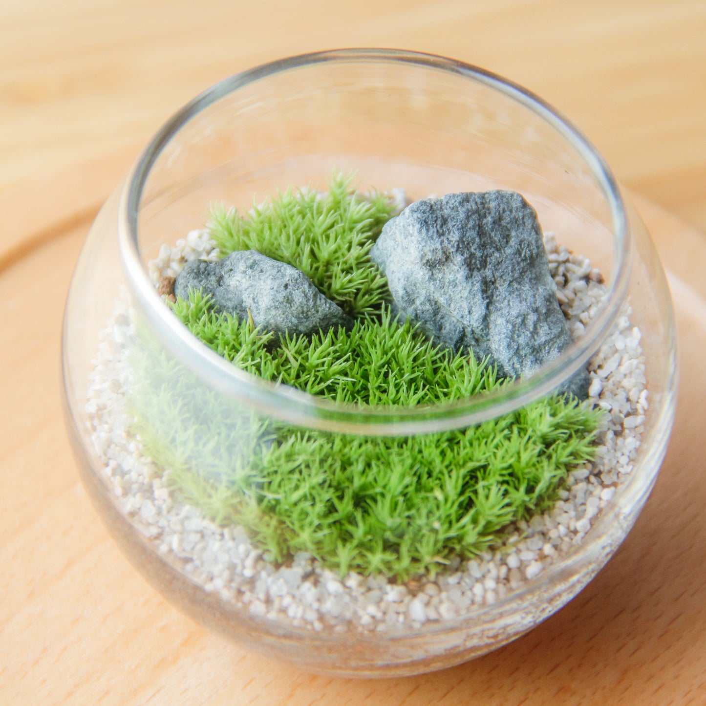 フィギュアなし_枯山水 ボウルS《苔テラリウム・コケリウム》