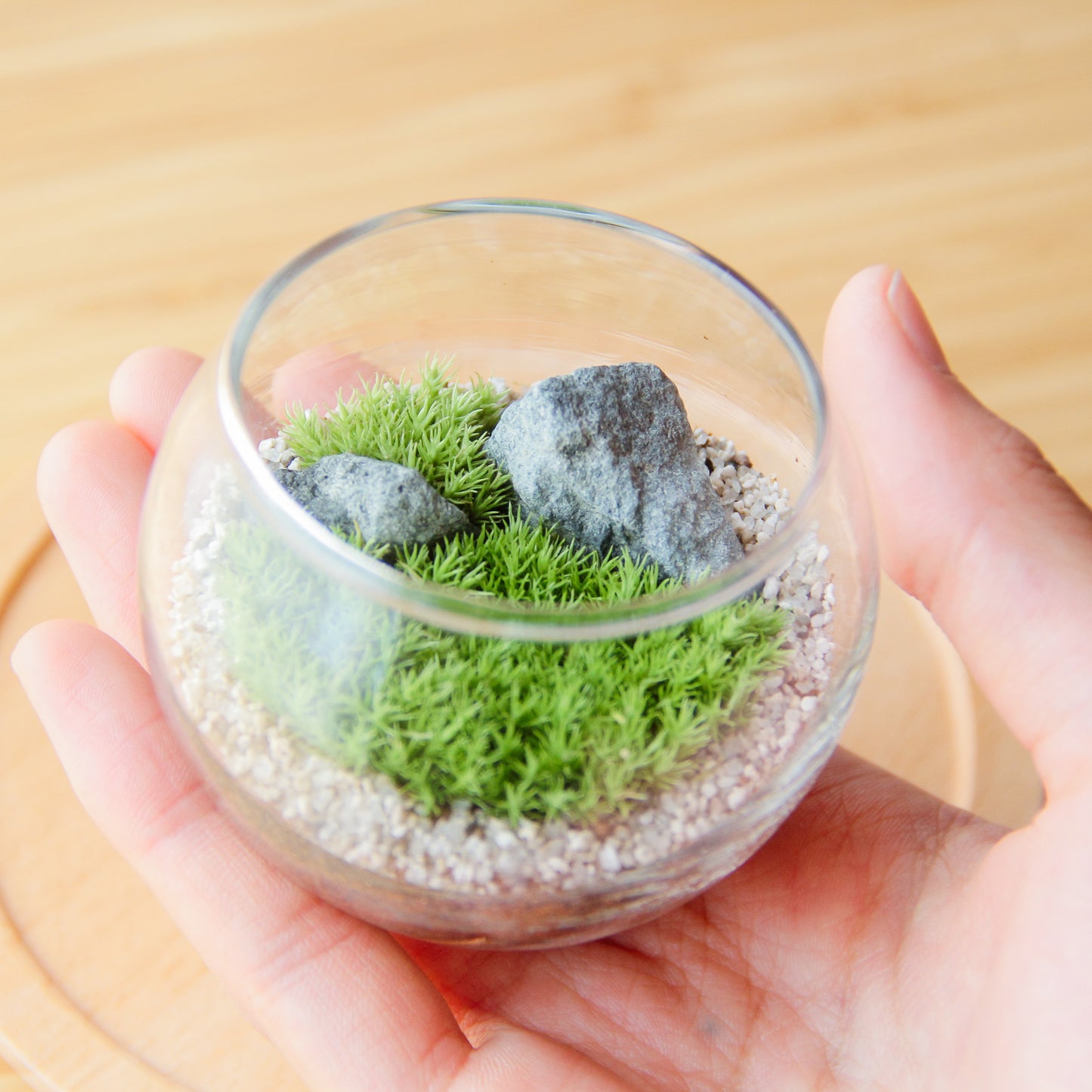 フィギュアなし_枯山水 ボウルS《苔テラリウム・コケリウム》