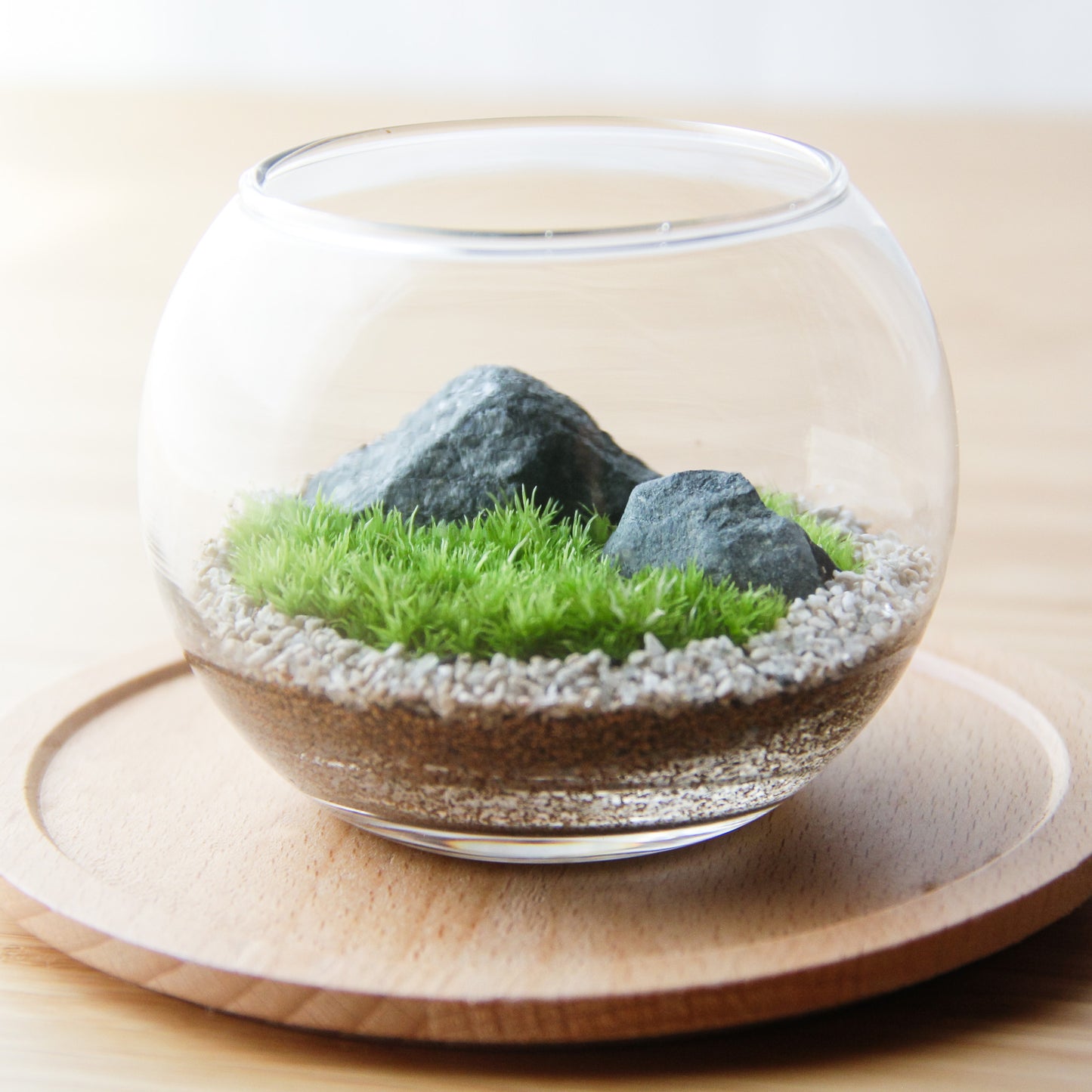 フィギュアなし_枯山水(道なし) ボウルM《苔テラリウム・コケリウム》