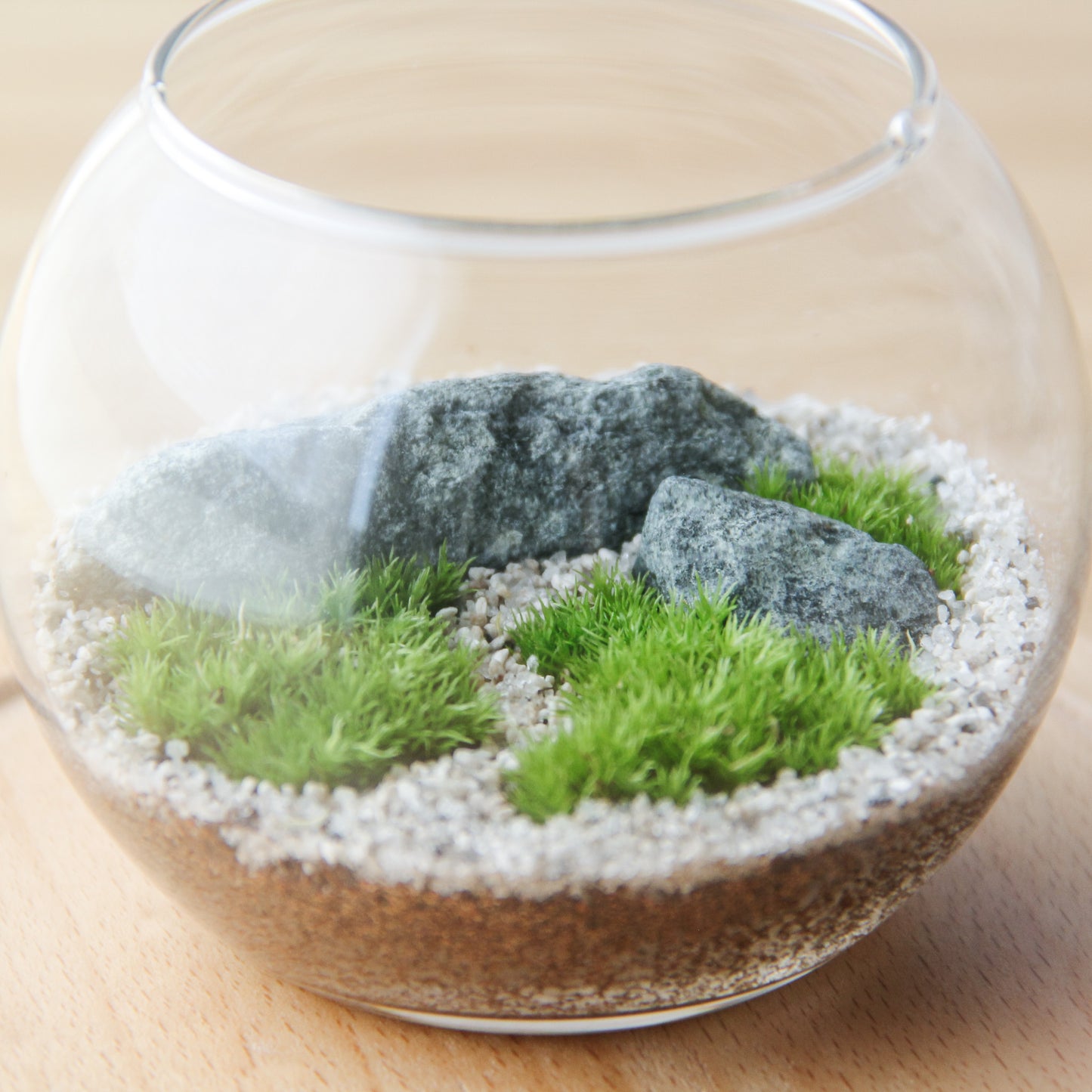 フィギュアなし_枯山水(道あり)ボウルM《苔テラリウム・コケリウム》