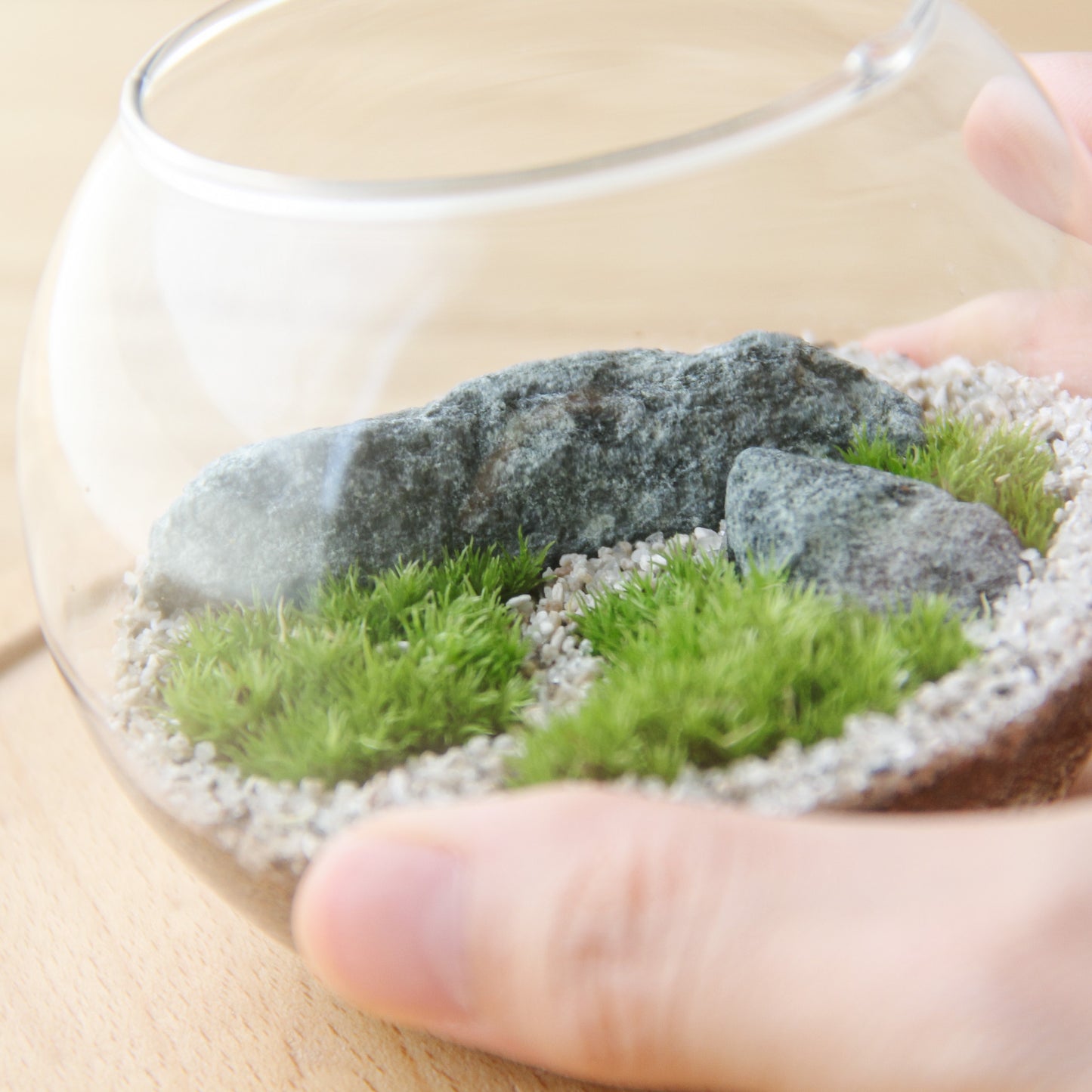 フィギュアなし_枯山水(道あり)ボウルM《苔テラリウム・コケリウム》