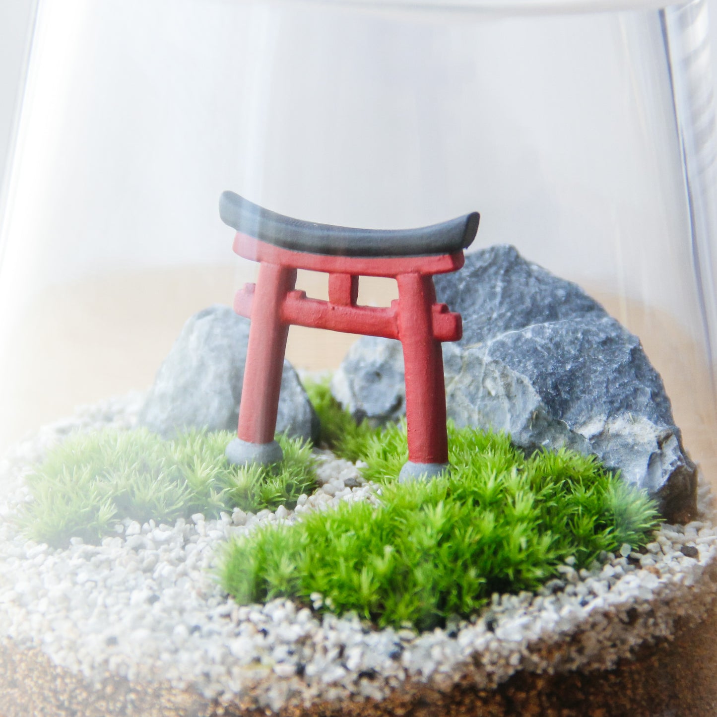 化粧砂 枯山水砂(50cc)《苔テラリウム・コケリウム用》