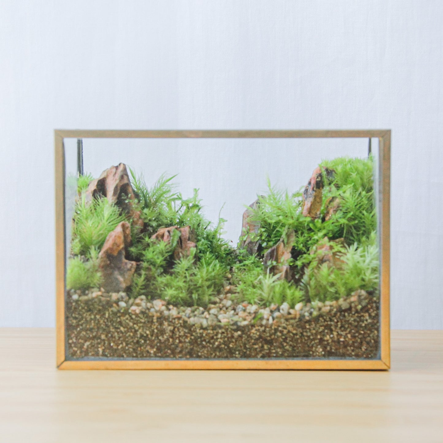 フィギュアなし_山岳の風景 メタルフレームL《苔テラリウム・コケリウム》