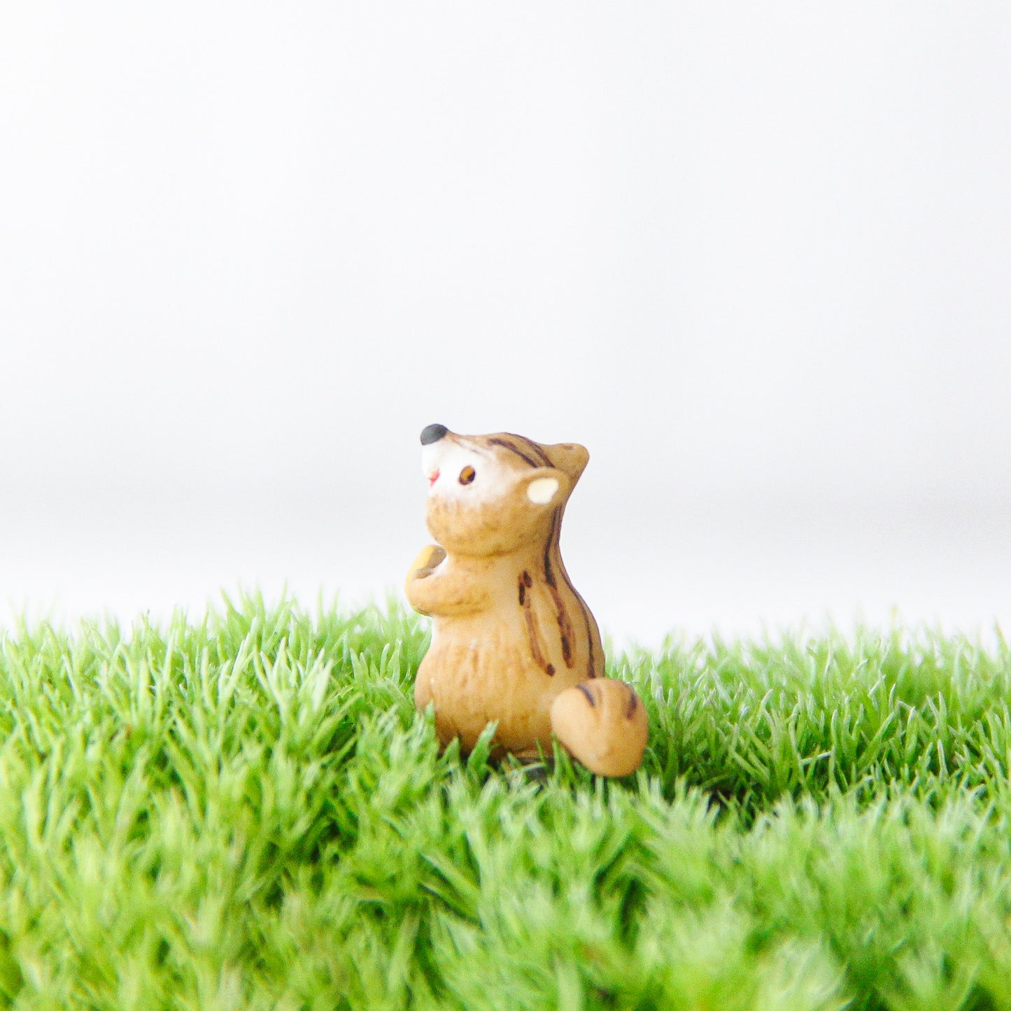 ほっこりリス_ミニチュアフィギュア《苔テラリウム・コケリウム》