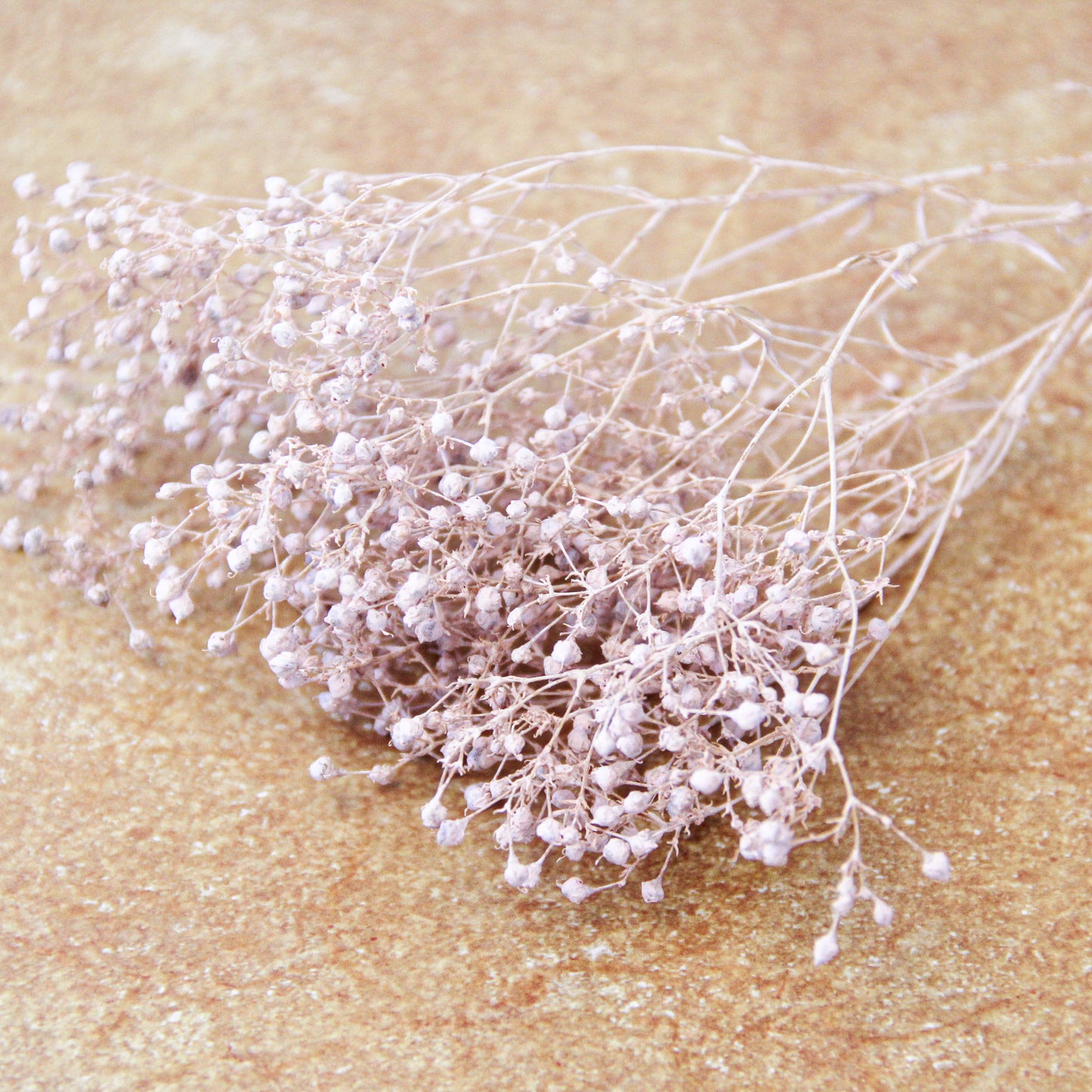 スーパーソフトミニカスミ草 マットピンク《プリザーブドフラワー・花材》