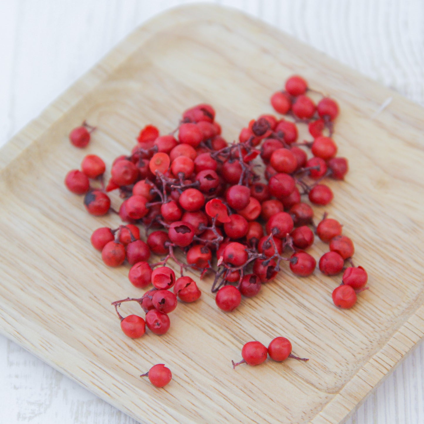 ペッパーベリー レッド《プリザーブドフラワー・実物/枝物》