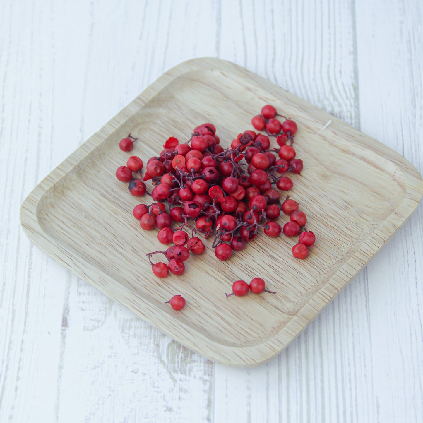 ペッパーベリー レッド《プリザーブドフラワー・実物/枝物》