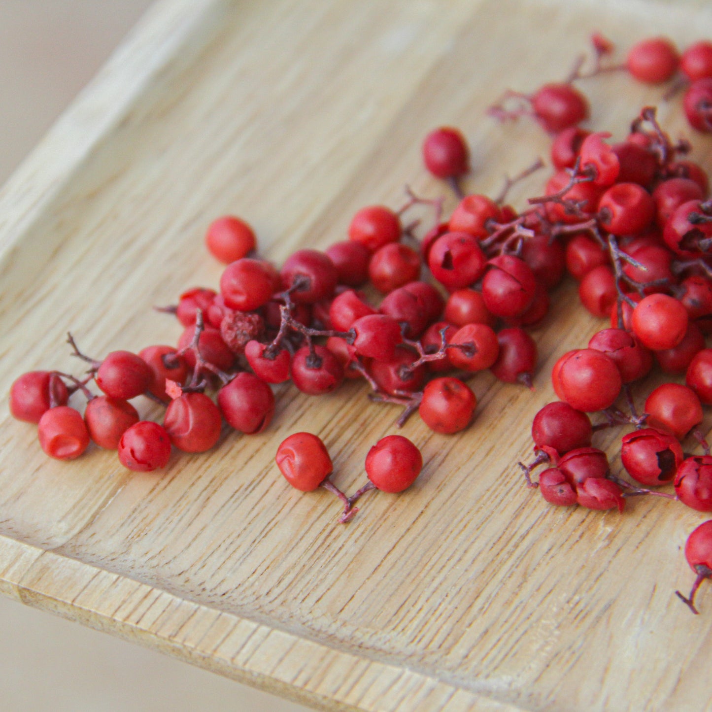 ペッパーベリー レッド《プリザーブドフラワー・実物/枝物》
