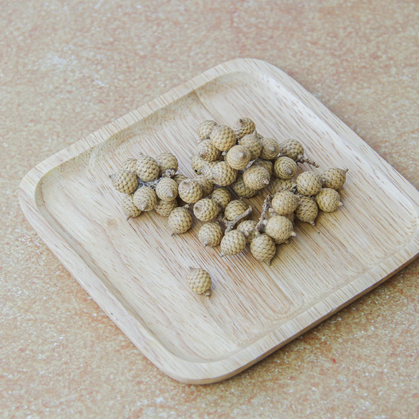 カネラ・ブランチ ナチュラル《プリザーブドフラワー・実物/枝物》