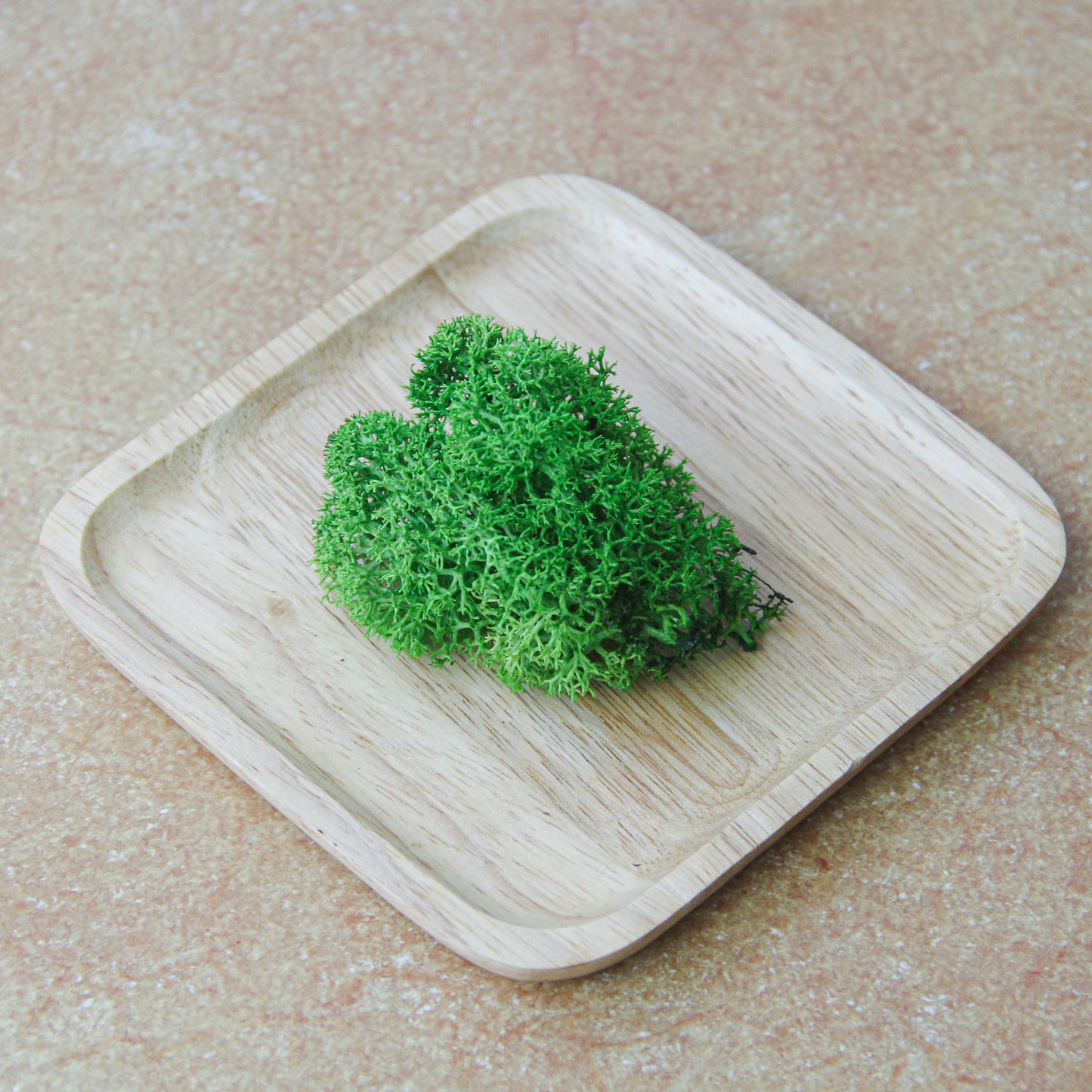 モス フレッシュグリーン《プリザーブドフラワー・モス》