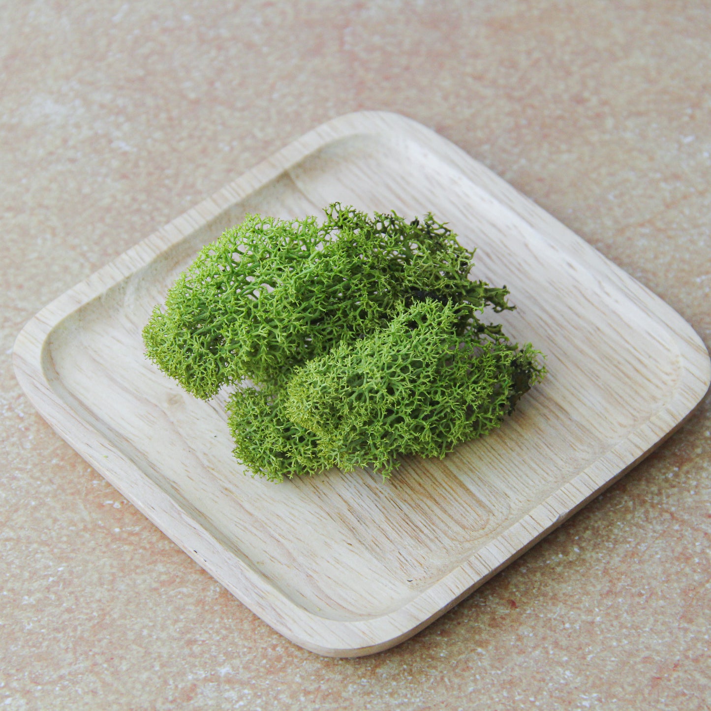 モス スプリンググリーン《プリザーブドフラワー・モス》