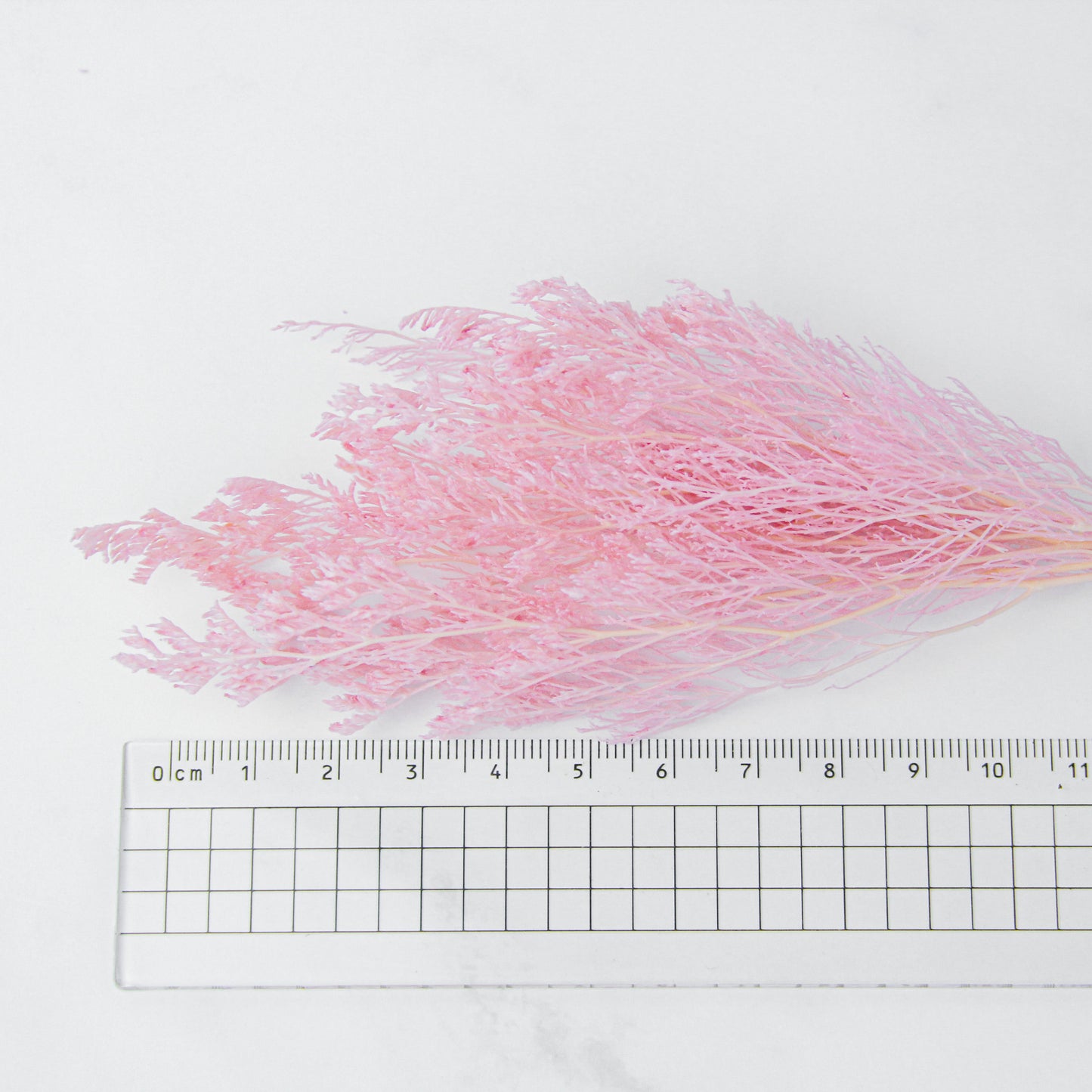 カスピア ピンク《プリザーブドフラワー・花材》