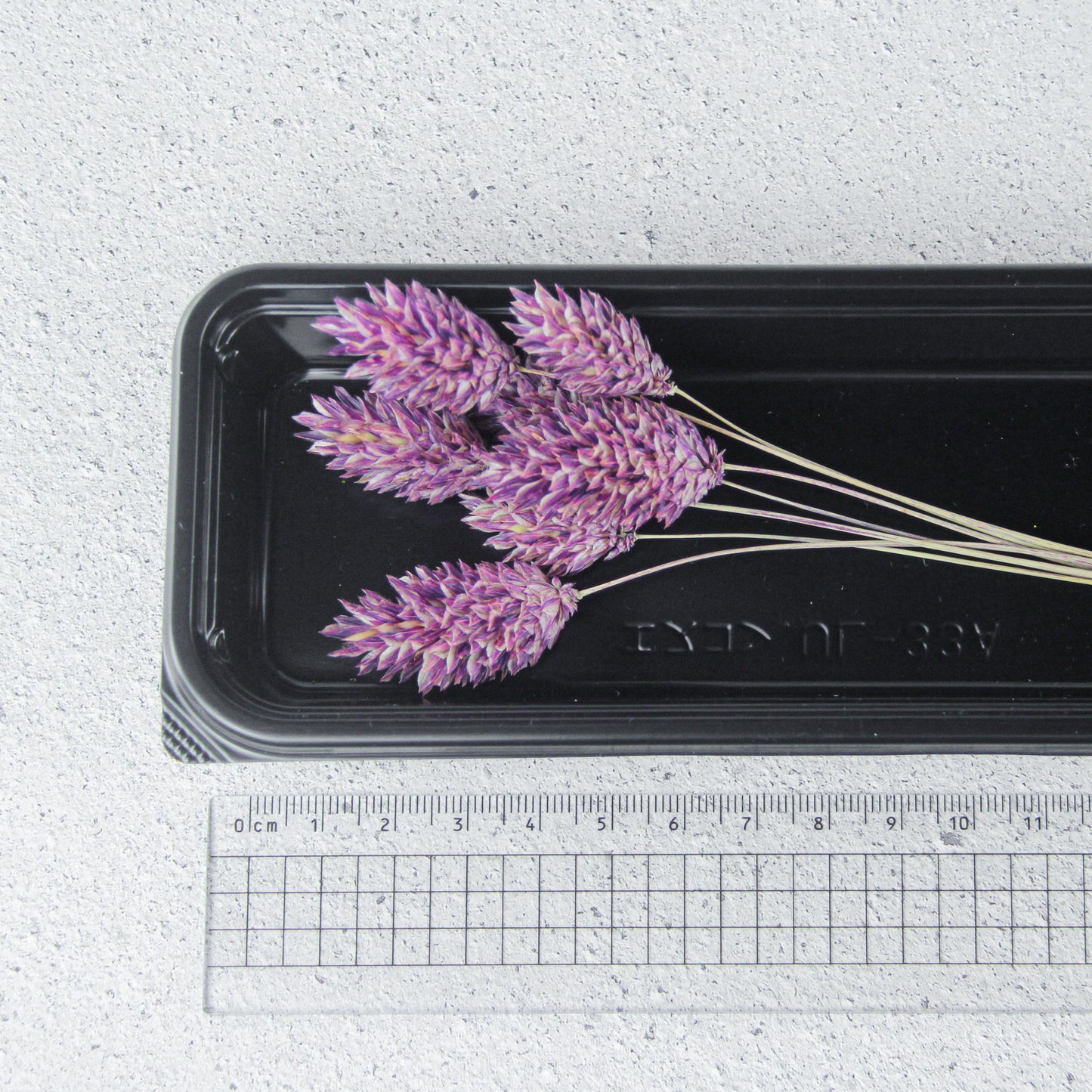 ポアプランツ クラシックパープル《プリザーブドフラワー・花材》