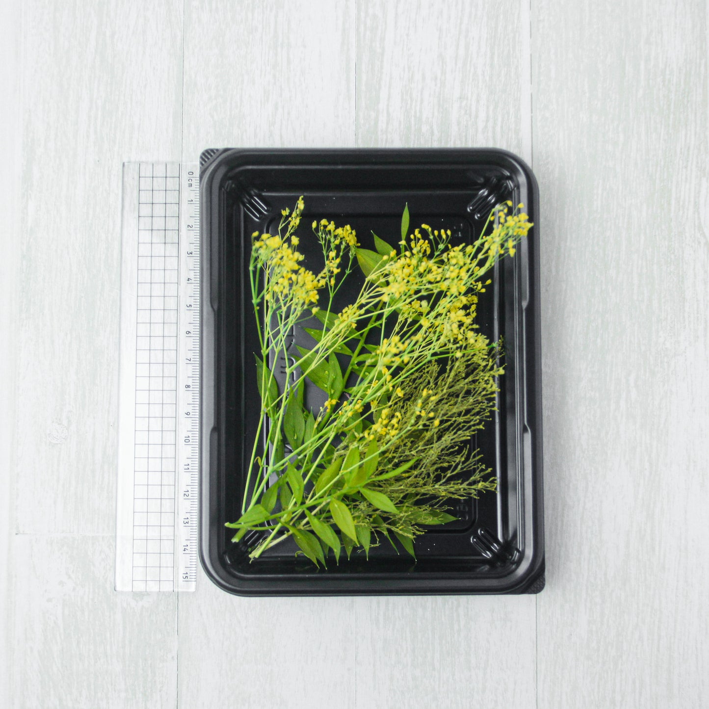 アソートパック イエロー《プリザーブドフラワー・花材/アソート》