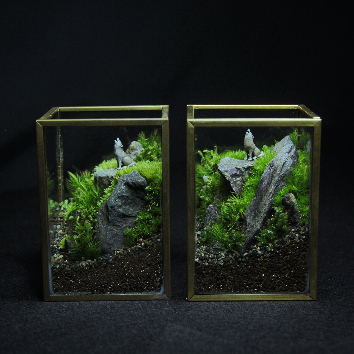 オオカミの遠吠え メタルフレームS《苔テラリウム・コケリウム》