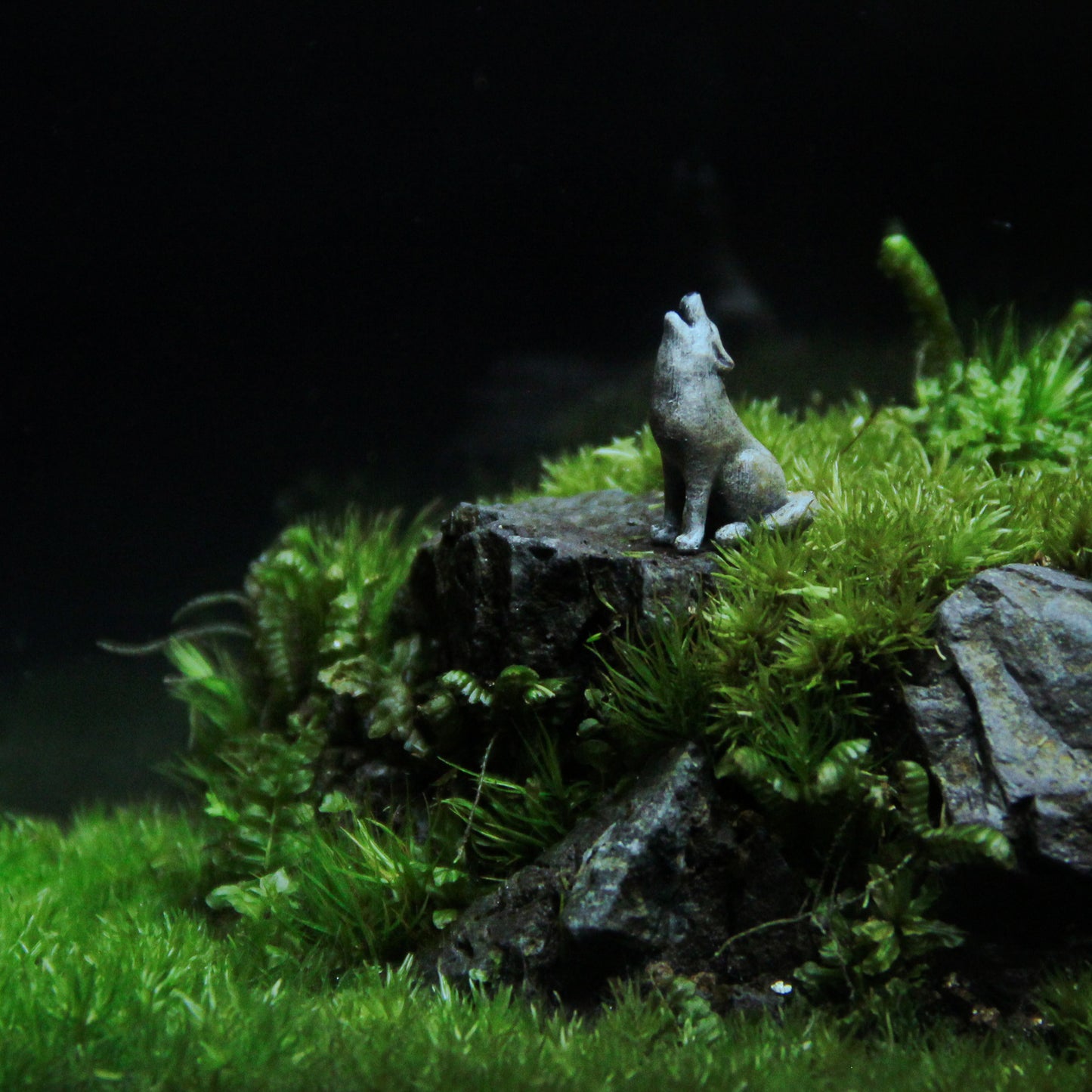 オオカミの遠吠え メタルフレームL《苔テラリウム・コケリウム》