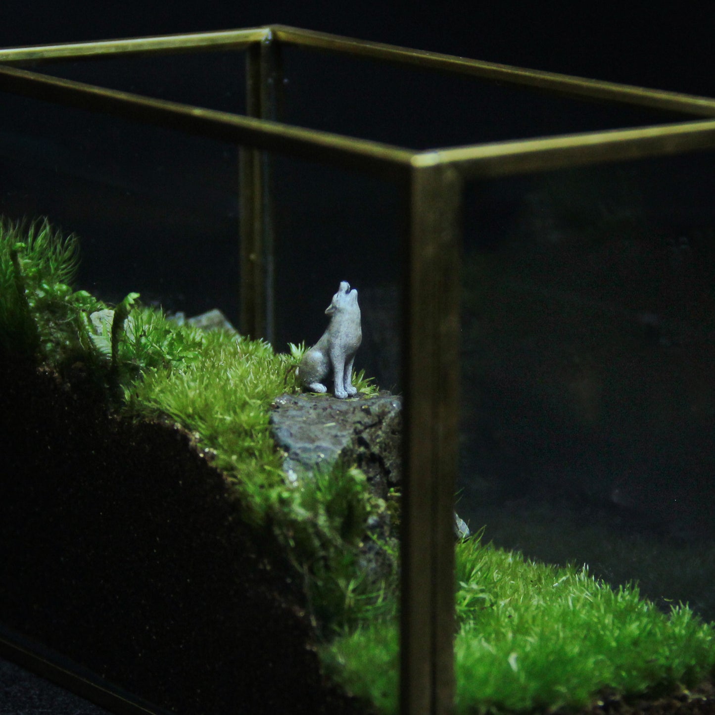 オオカミの遠吠え メタルフレームL《苔テラリウム・コケリウム》